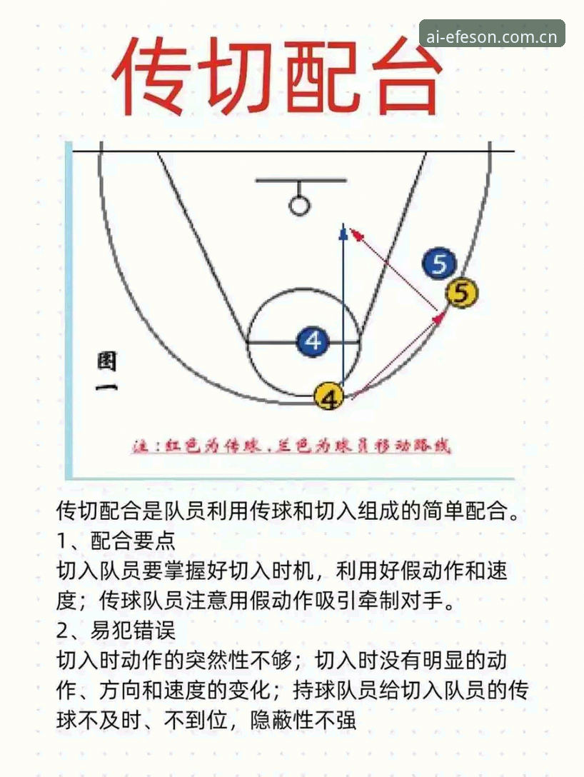 BB娱乐体育赛事教程实用指南：从新手到达人的必备知识